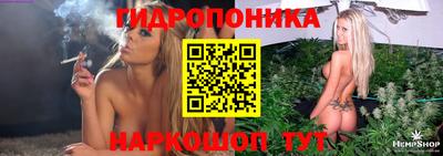 гидра Ивантеевка