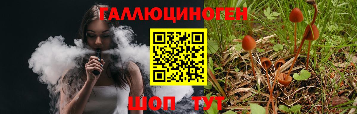 Псилоцибиновые грибы ЛСД Вольск